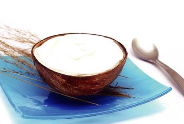 Coconut ice cream gourmet
