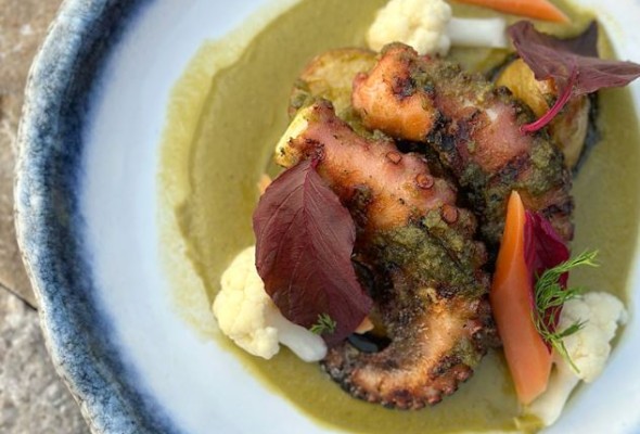 Grilled octopus