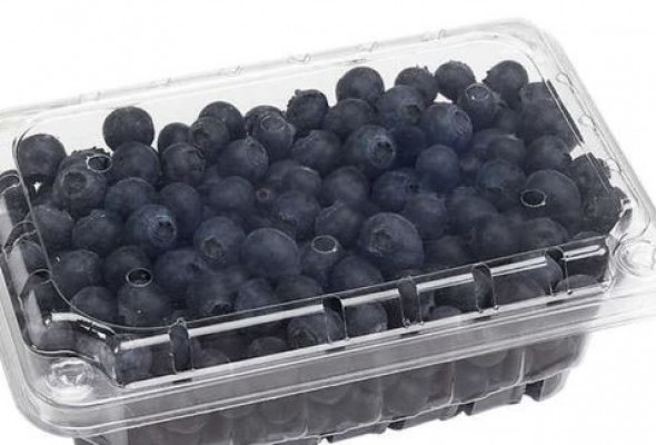Blue berry  620.01 gr
